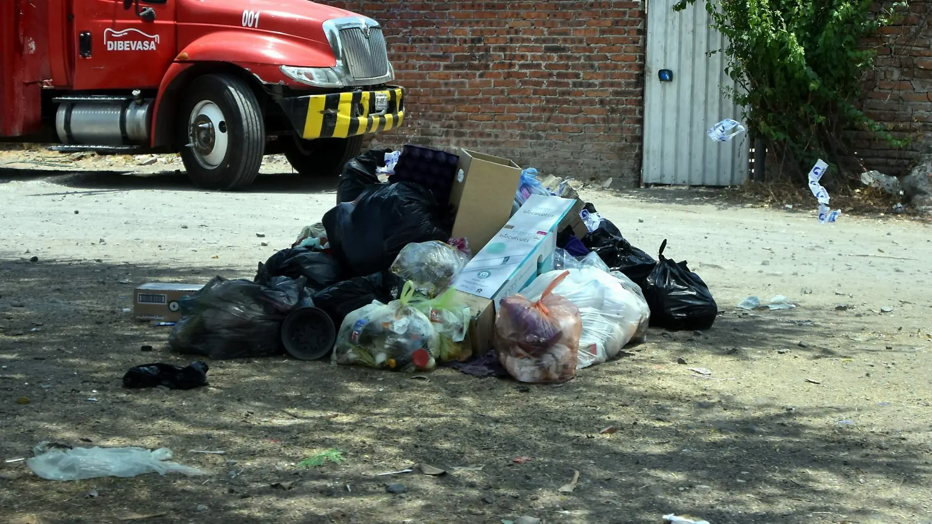 Basura (1)